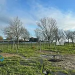 Mobil-home Avec Terrasse Pour 4 Pers. - Api-1-52-1721 Arvert